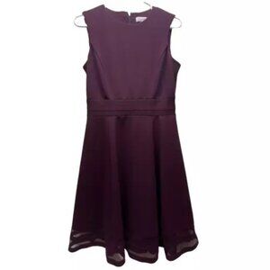 Calvin Klein Women's Dress Size 6 Purple Plum Fit & Flare Sleeveless Midi EUC